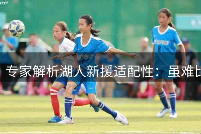 专家解析湖人新援适配性：虽难比詹姆斯但更契合东契奇体系